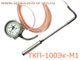 ТКП-100Эк-М1 термометр манометрический показывающий электроконтактный конденсационный